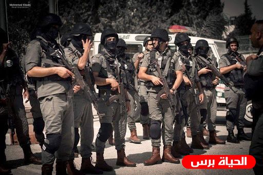 القبض على مشتبه بهما بتهم سطو مسلح وإطلاق نار في محافظة نابلس
